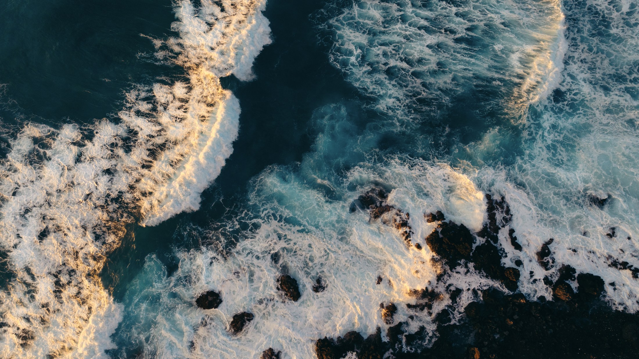 Photograph 10 by Goldenberg Photos