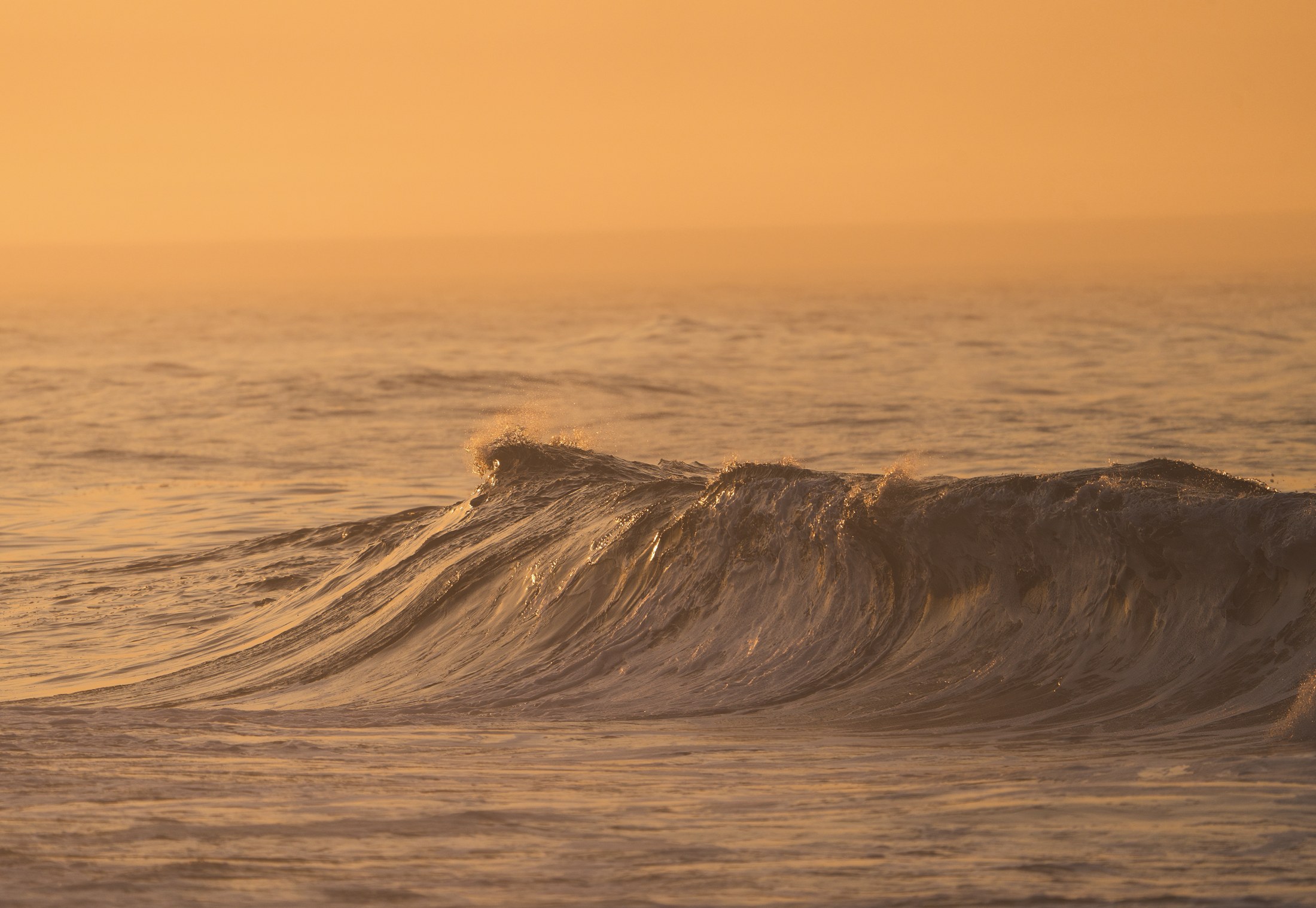Photograph 108 by Goldenberg Photos