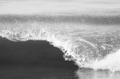 Ocean & Coast photograph by Goldenberg Photos