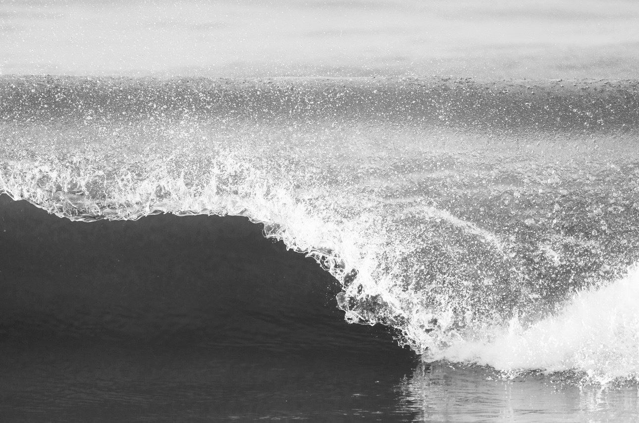 Photograph 20 by Goldenberg Photos