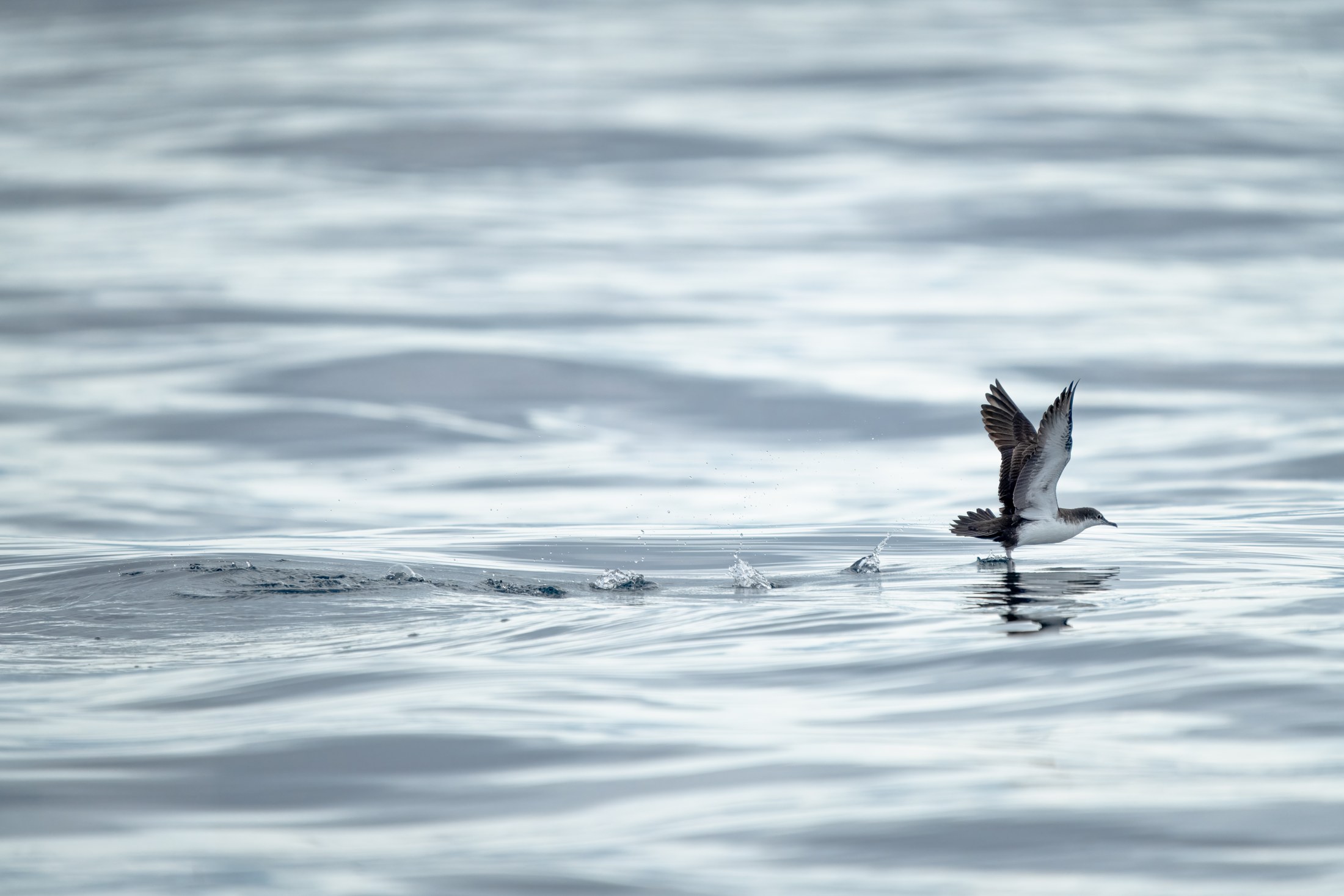 Photograph 29 by Goldenberg Photos