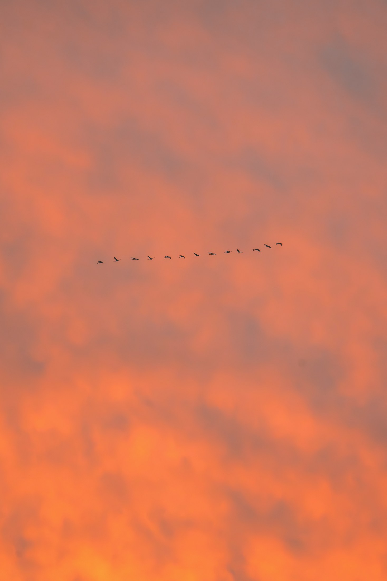Photograph 31 by Goldenberg Photos