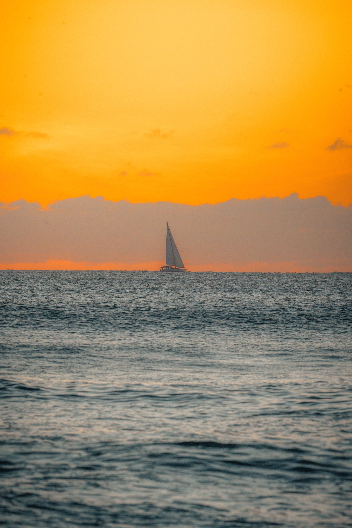 Photograph 34 by Goldenberg Photos