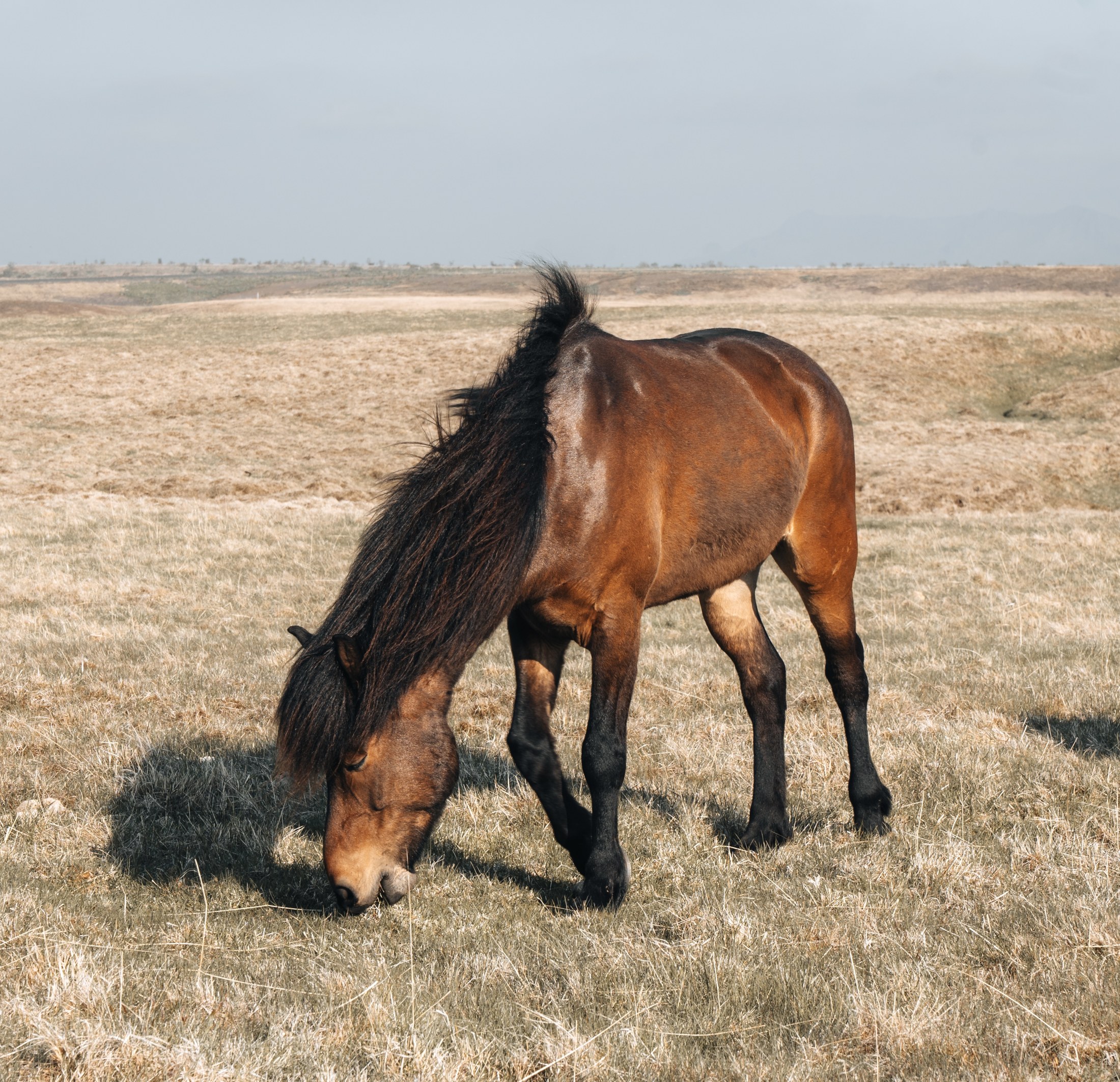 Photograph 50 by Goldenberg Photos