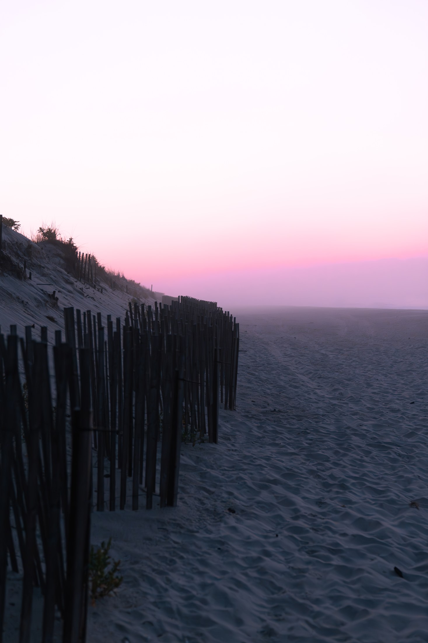 Photograph 58 by Goldenberg Photos