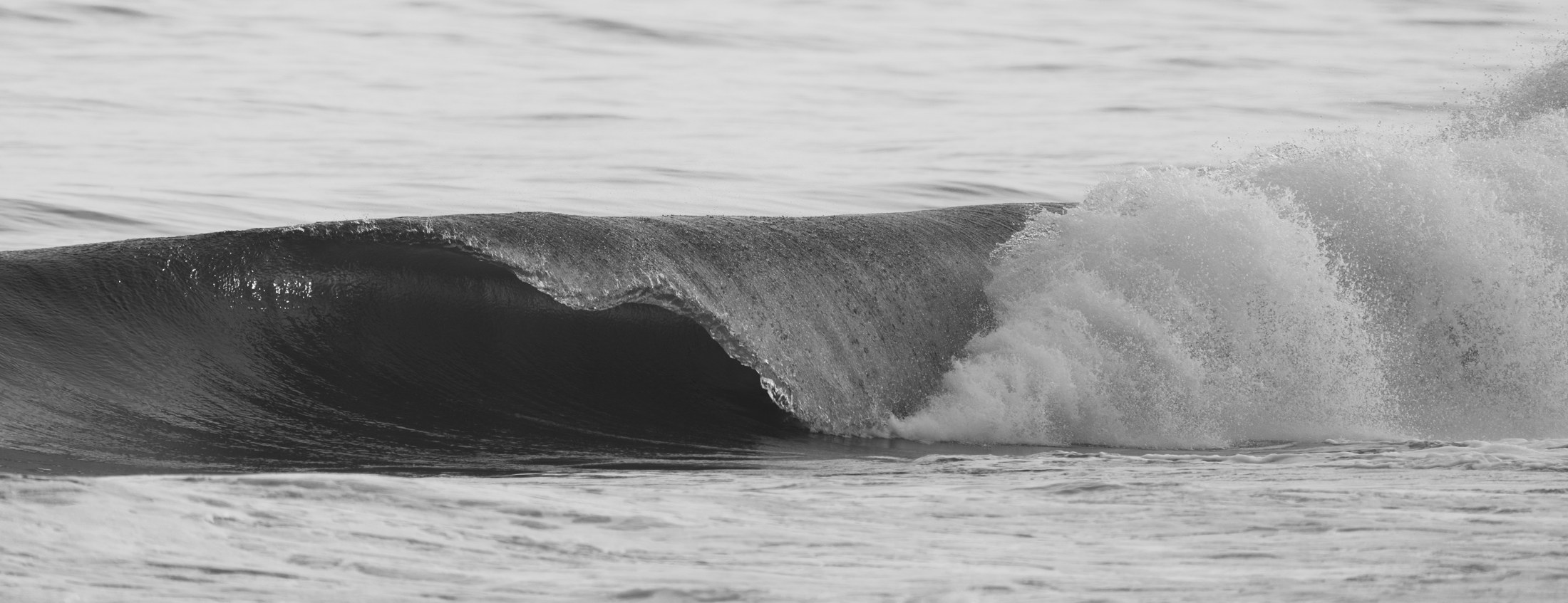 Photograph 64 by Goldenberg Photos