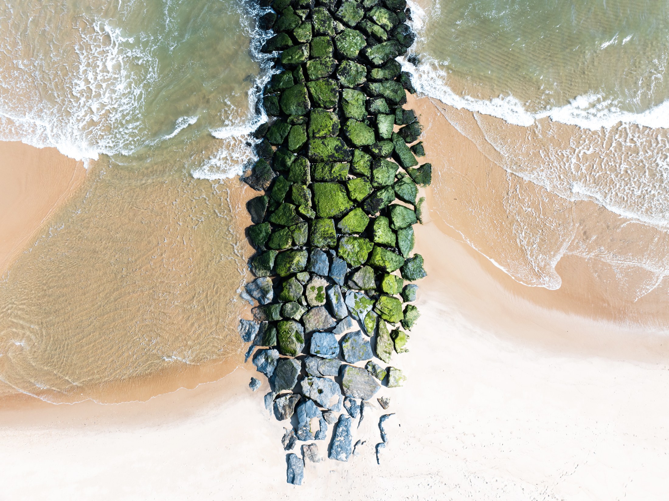 Photograph 91 by Goldenberg Photos